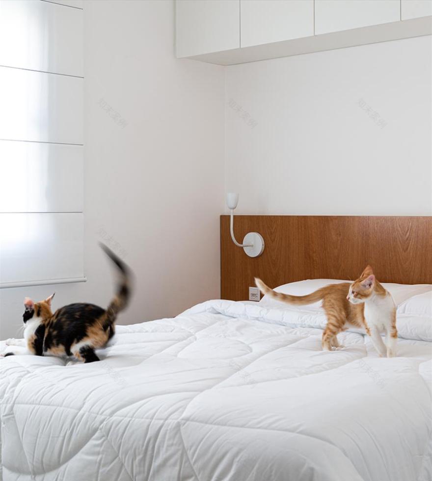 9 月 9 日公寓 | 极简木质设计,打造舒适小空间-10