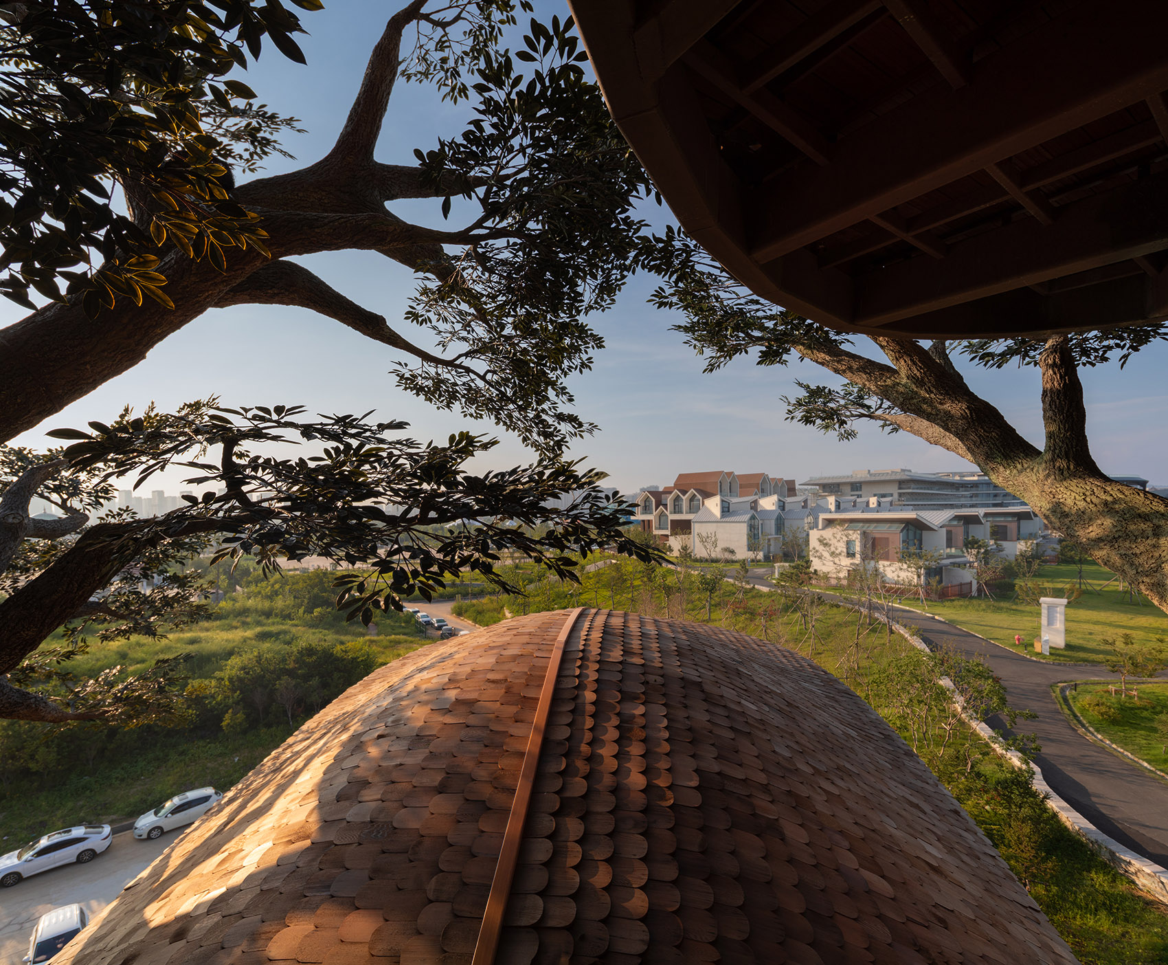 林间之巢丨中国日照丨动奇屋-36