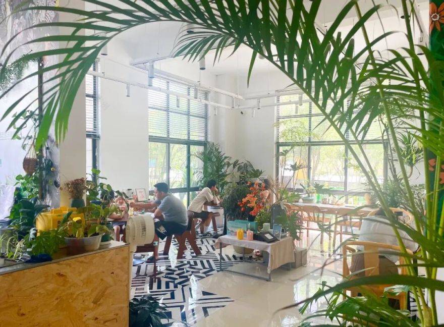 大众网满月回访泉民园艺中心领航店-97