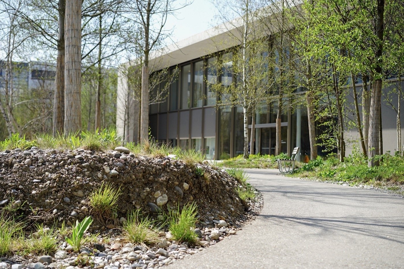 瑞士中央公园罗氏校园丨Bryum-8