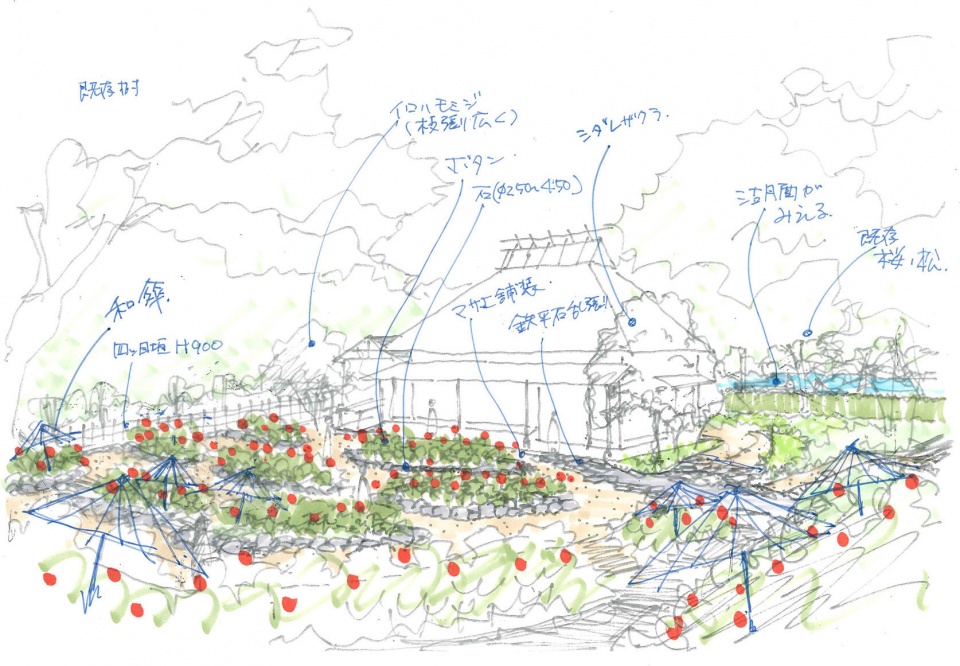 常盤公园牡丹苑翻新设计丨日本丨株式会社户田芳树风景计画-15