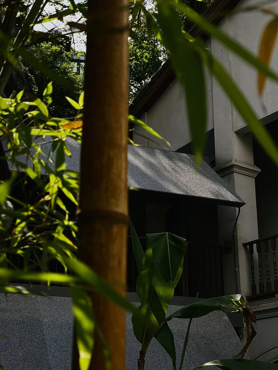 有物设计|一场穿越时空的“神仙游园会”-123