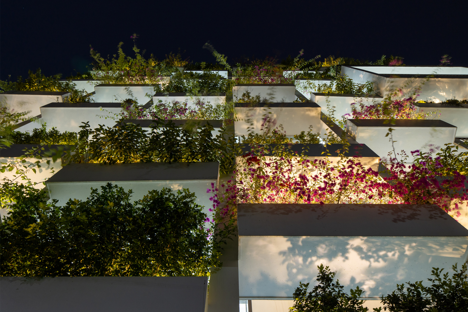 越南 HP 办公建筑丨Kien Truc NDT-46