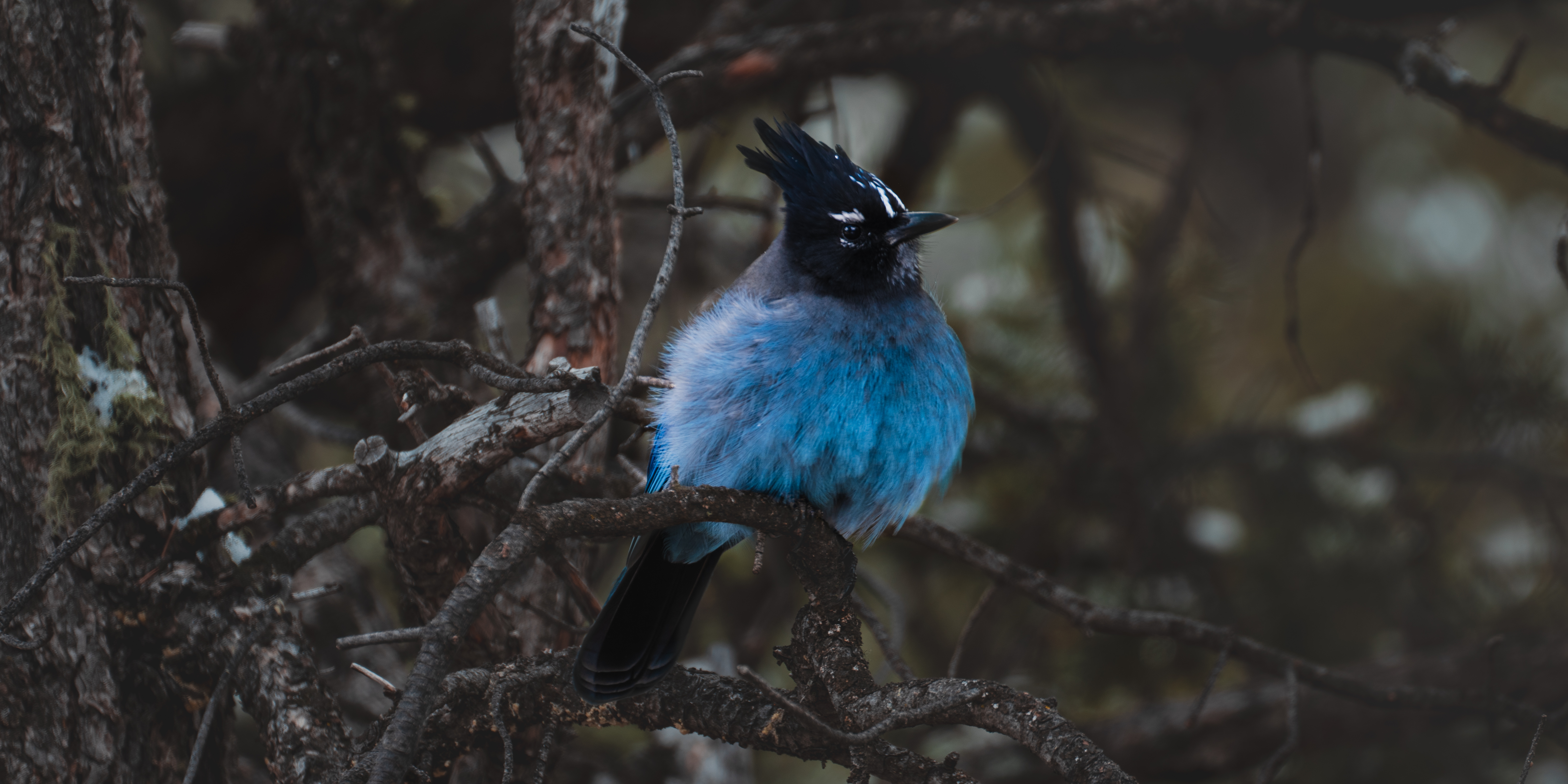 Grand Canyon（大峡谷）-20