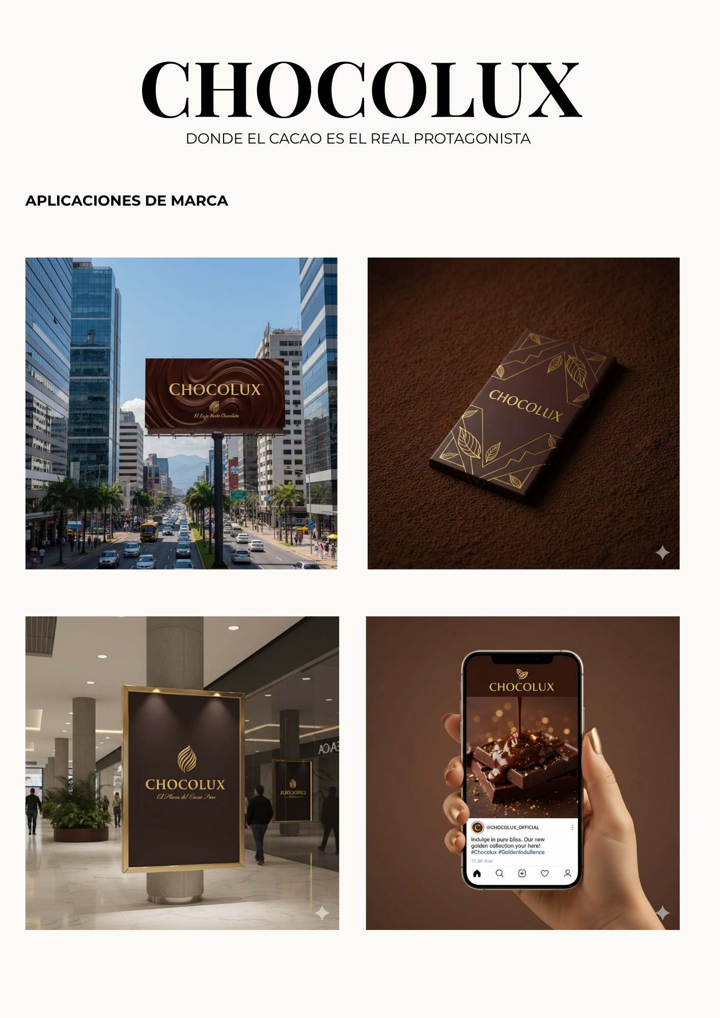 ENTREGA FINAL-VISUAL BRANDING-4