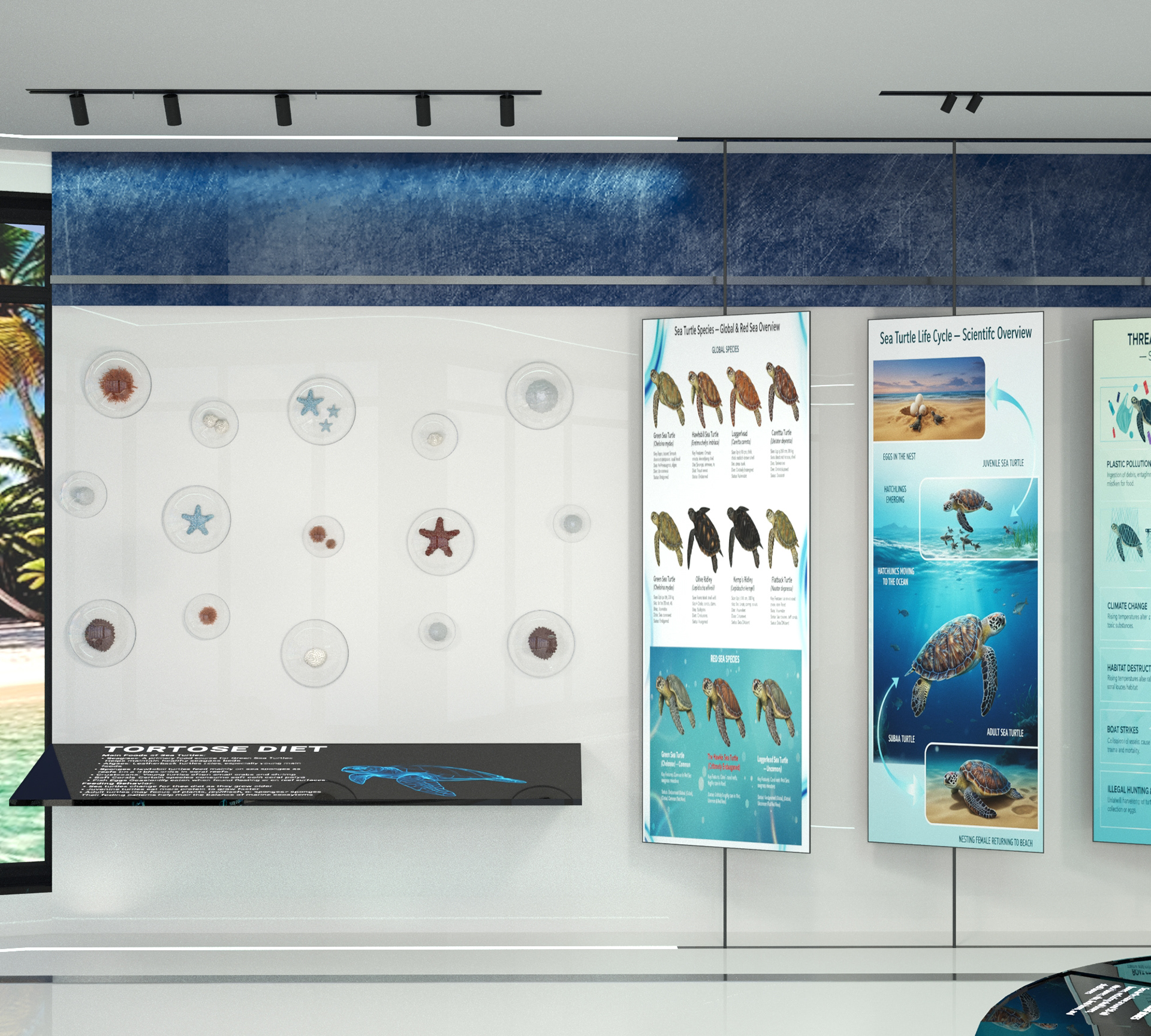 Sea Turtle Rescue & Rehabilitation Foundation-76