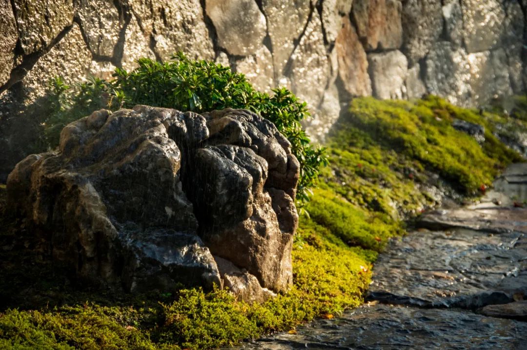 云东境·禅奢疗愈酒店丨中国徐州丨GAD杰地设计,ZSD卓时设计-126