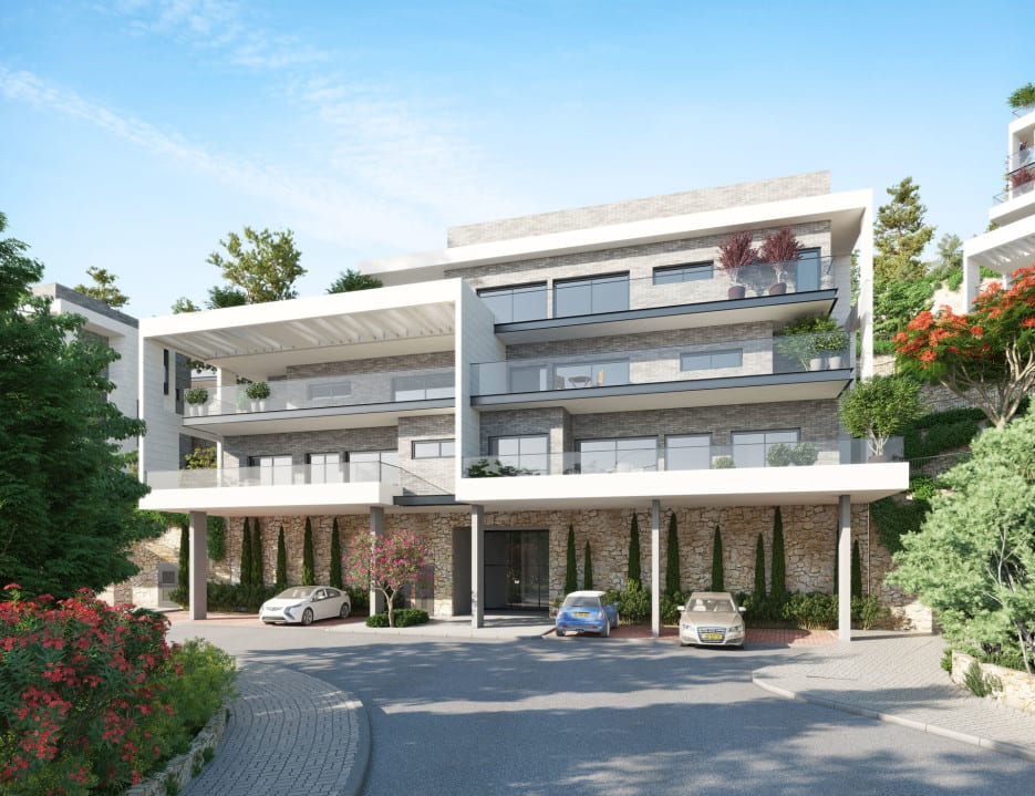 cows - Ando Studio-5