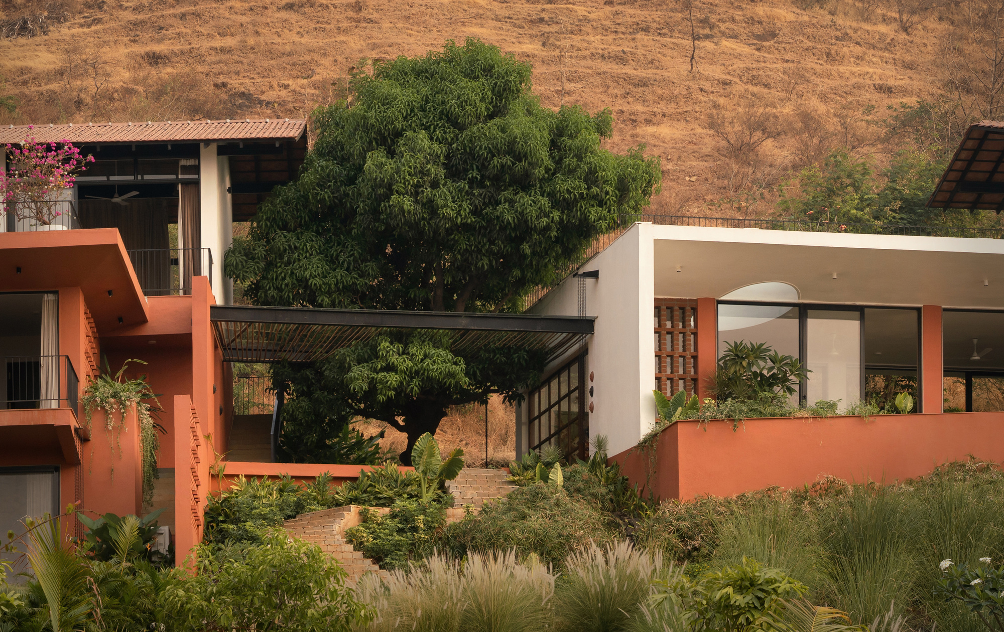 丨印度丨unTAG-37