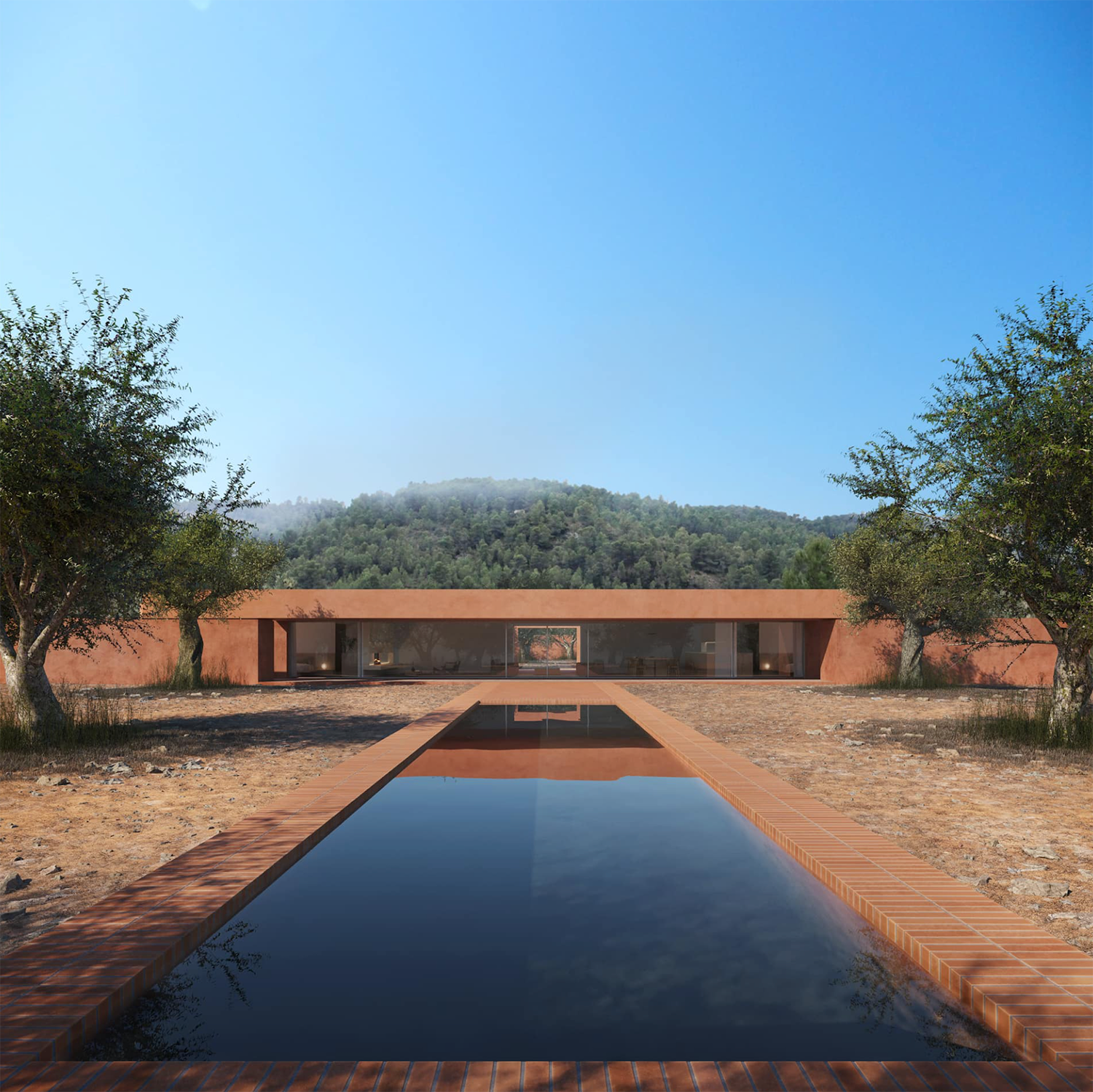 橄榄林屋丨西班牙丨Balzar Arquitectos-1