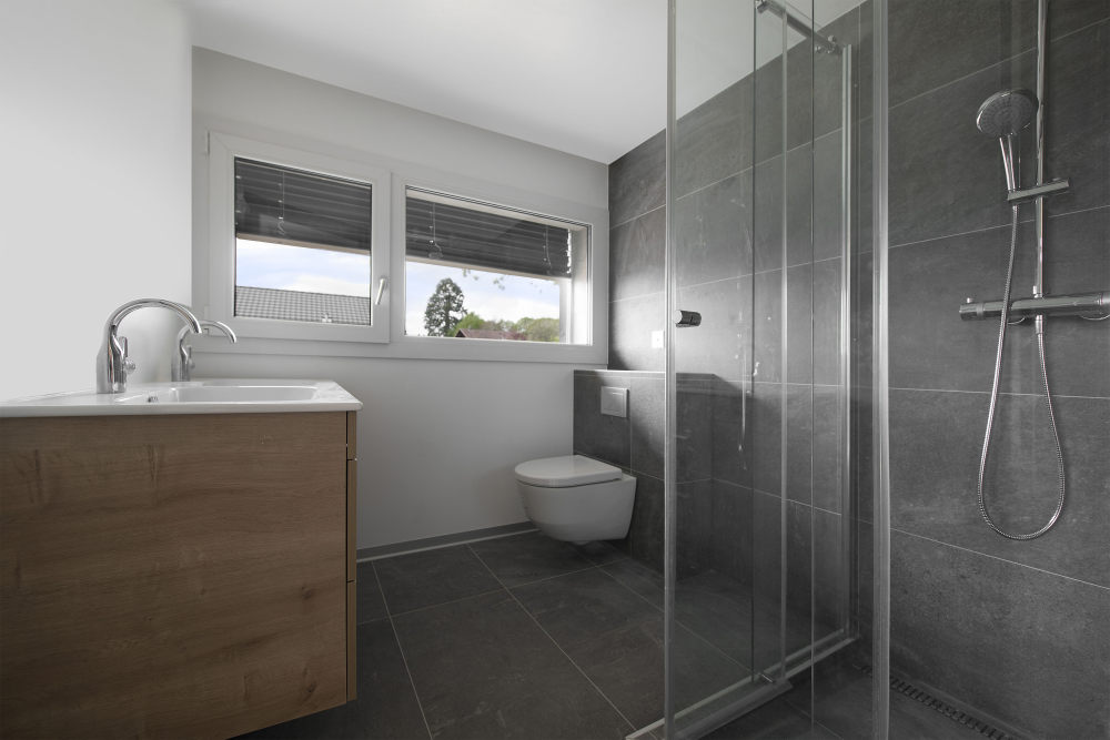 日内瓦湖畔 Arzier 村 8.5 独立住宅-10