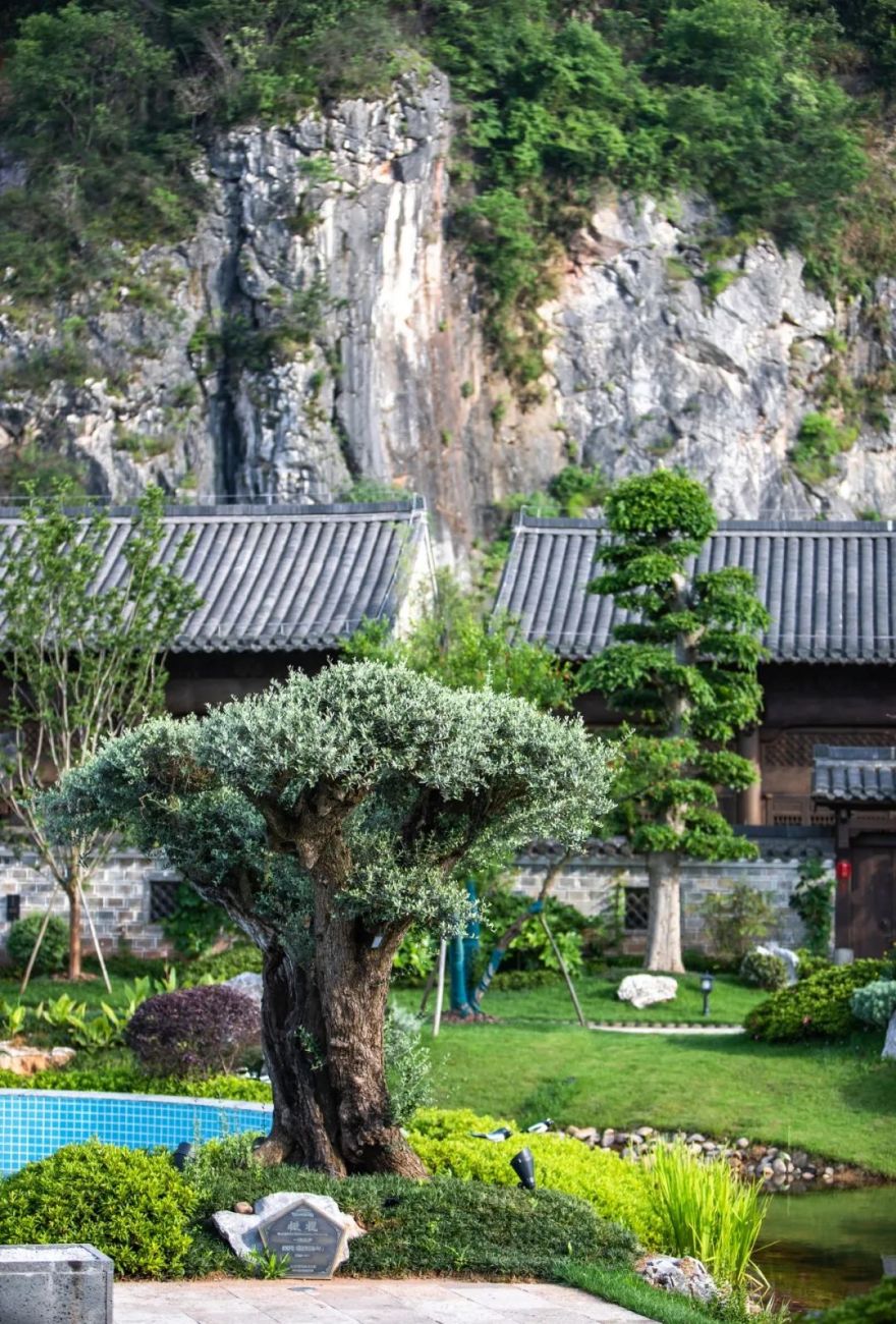 上饶悦麓开元观堂 | 古徽州文化与现代度假的完美融合-136
