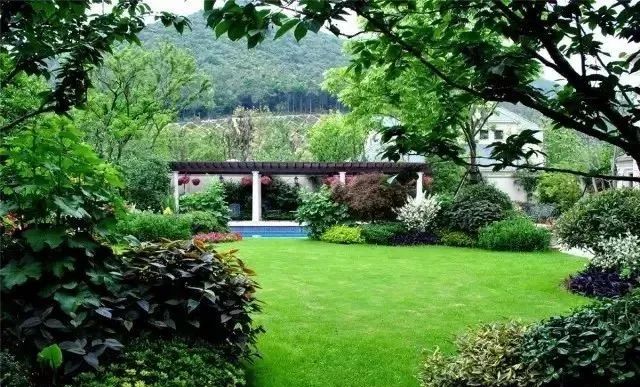 园林景观植物绿化设计方法解析-77