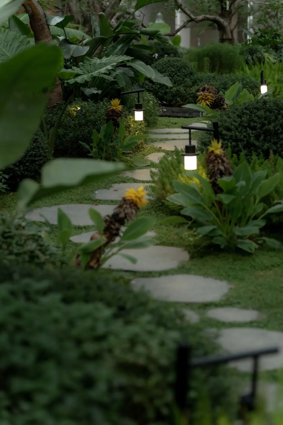 福州 华润置地·中寰悦府丨中国福州丨A&N尚源集序  Collection Studio-38