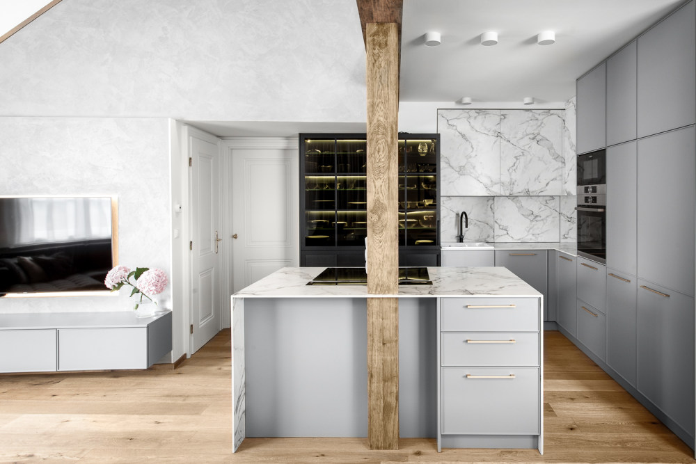 2020 年捷克共和国 PLZENSKA 公寓设计-5