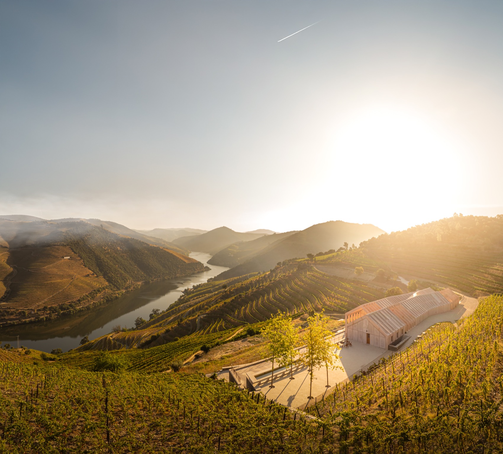 Quinta de Adorigo酒庄丨葡萄牙杜罗丨Atelier Sergio Rebelo等多家团队及个人-159