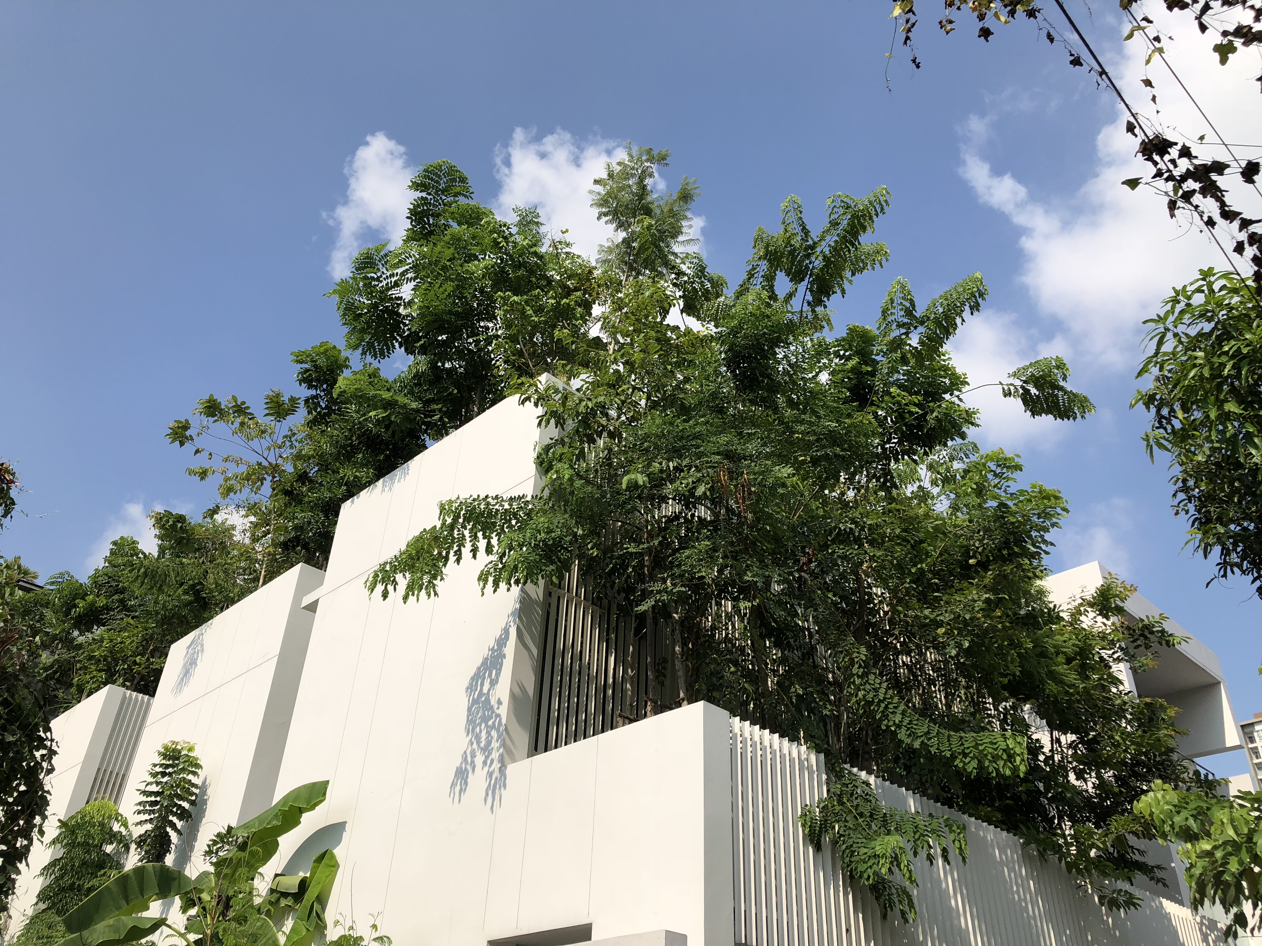 Forested House | Shma Company Limited-31
