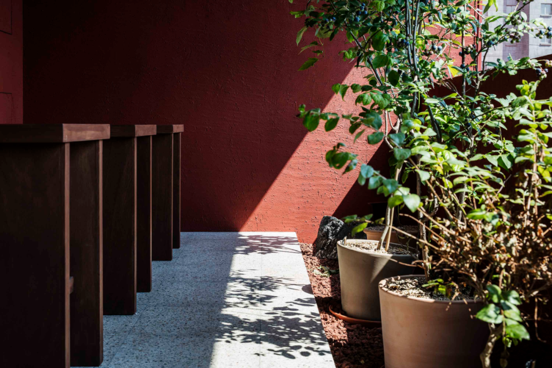 Peak Square 咖啡厅丨韩国丨TFP-72