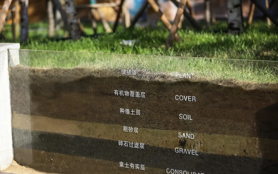 转角遇见暖意，冰城的一抹新绿 万科鲸鱼悦府丨中国哈尔滨丨ZAP ASSOCIATES-48