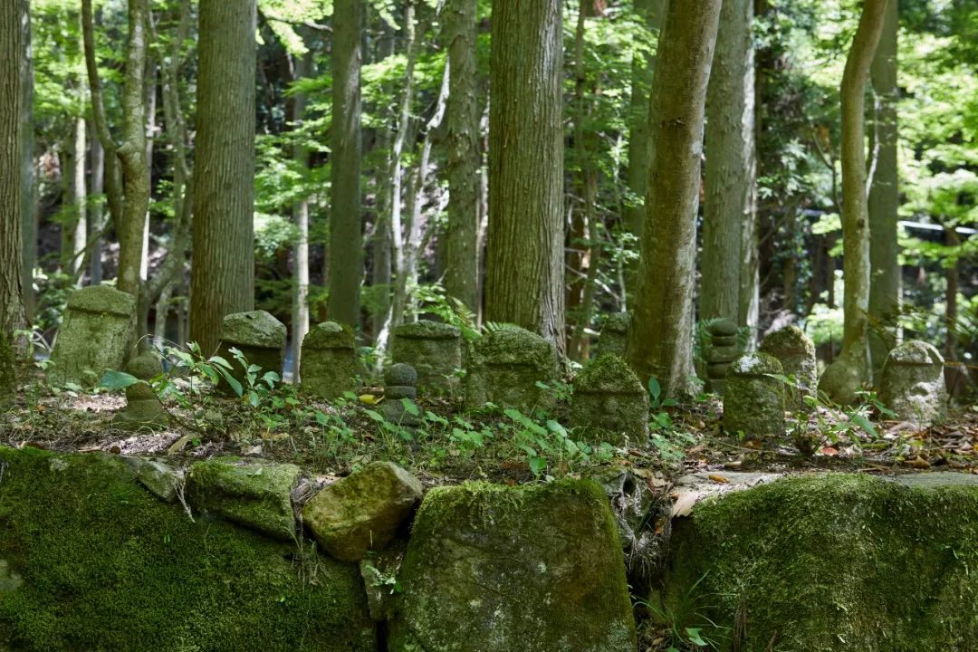 【顶级大师Kerry Hill遗作】日本京都安缦度假酒店即将2019年11月1日开幕!-40