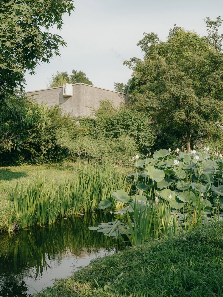 从孤立岛屿到阅读之船的转变丨中国北京丨察社办公室-10