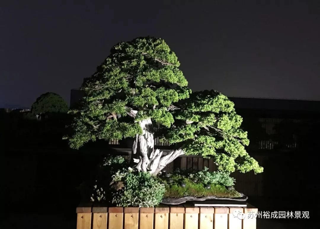 禅意屋顶花园，品茗抚琴如诗如画-17