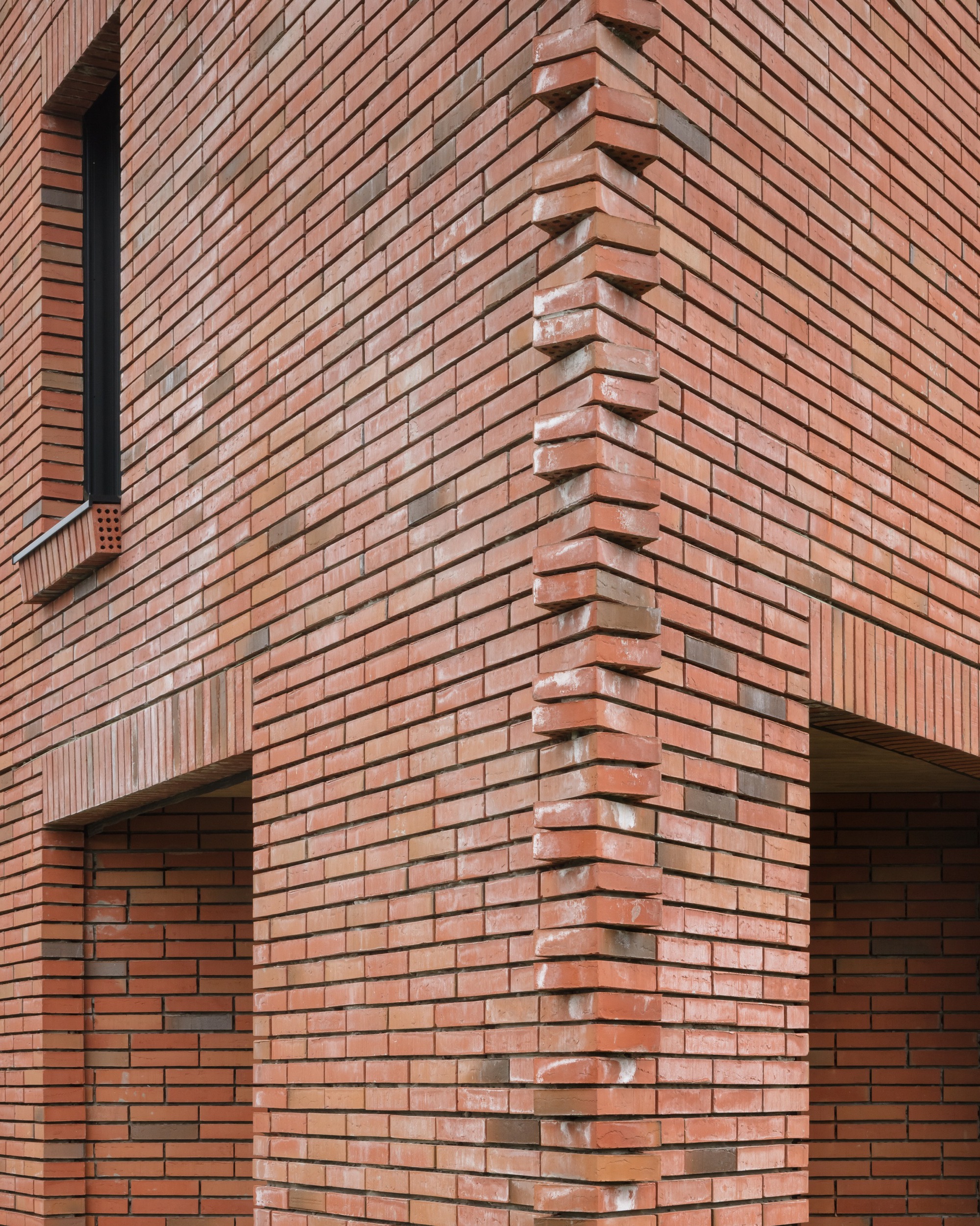 wsT 住宅丨比利时丨BLAF 建筑事务所-18