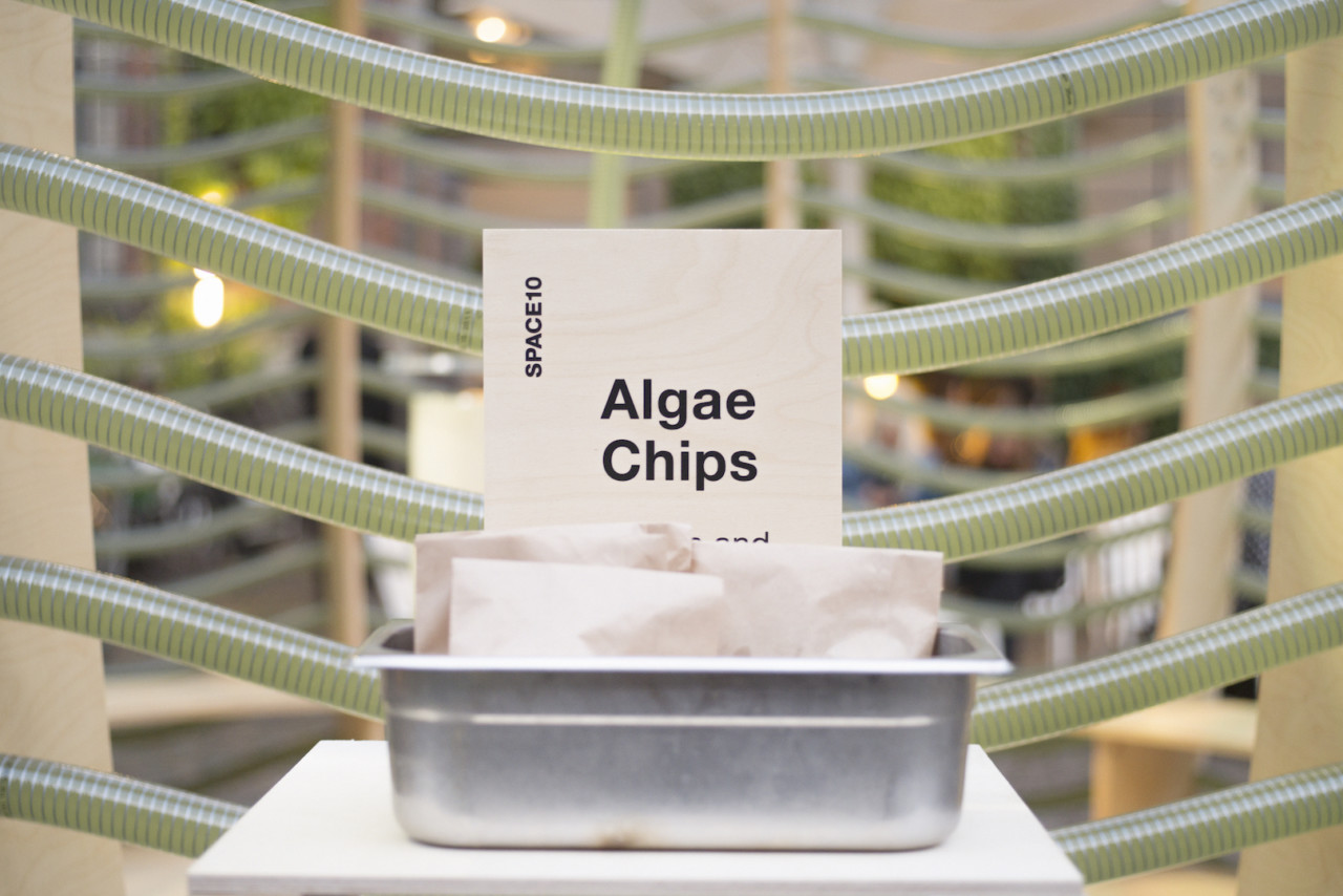 SPACE10’s Algae Dome Can Potentially Solve the World’s Biggest Problems-16