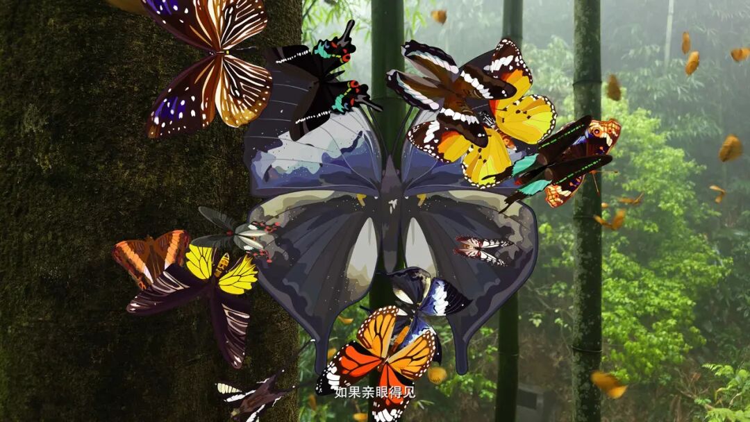 墨脱自然中心数字交互展项-26