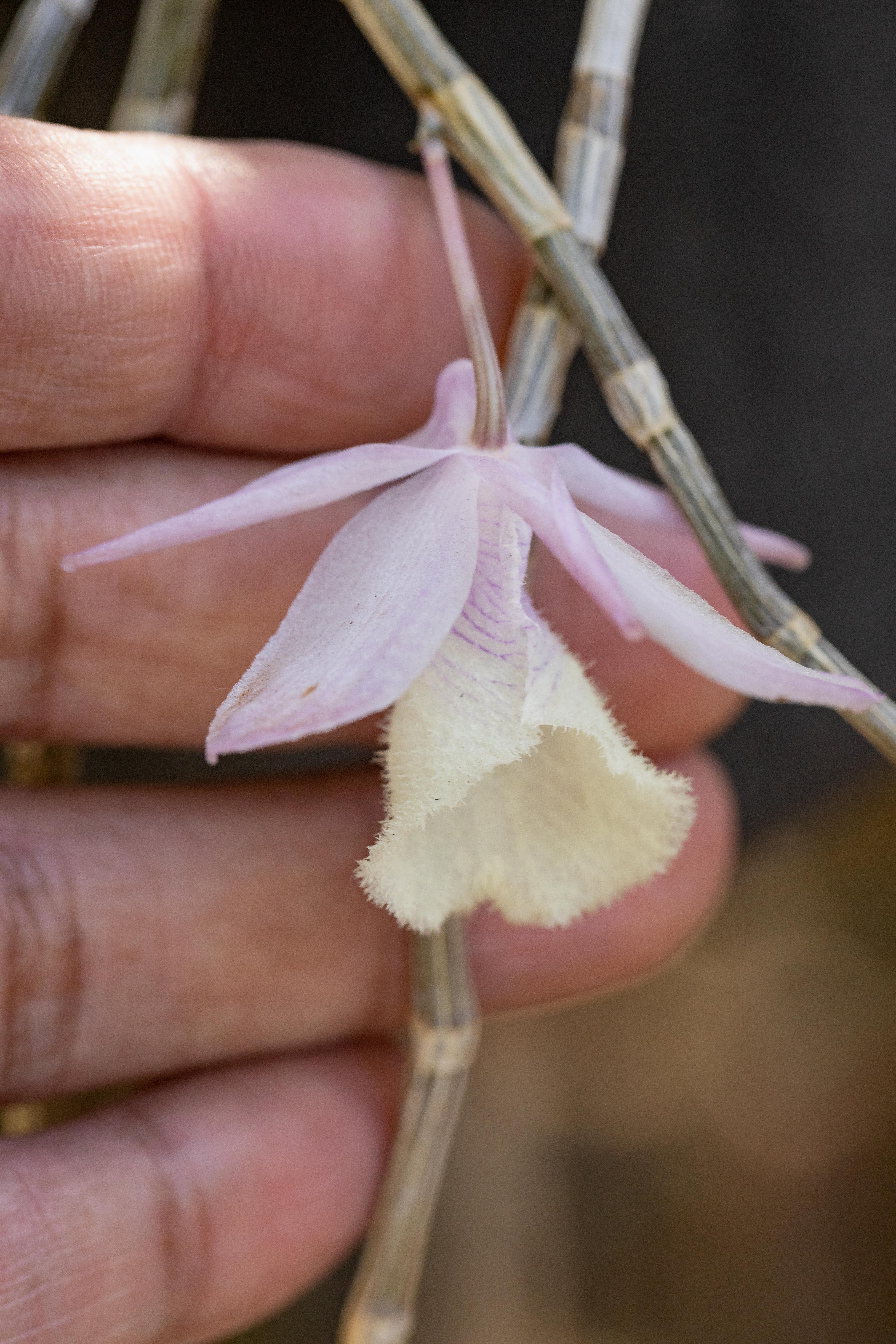 室内植物设计-23