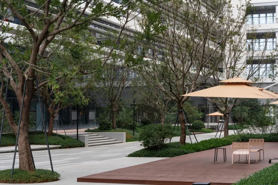 OPPO 智能制造中心项目 B 地块一期北区厂房园林景观分包工程丨萨尔瓦多滨海丨广州普邦园林股份有限公司-20