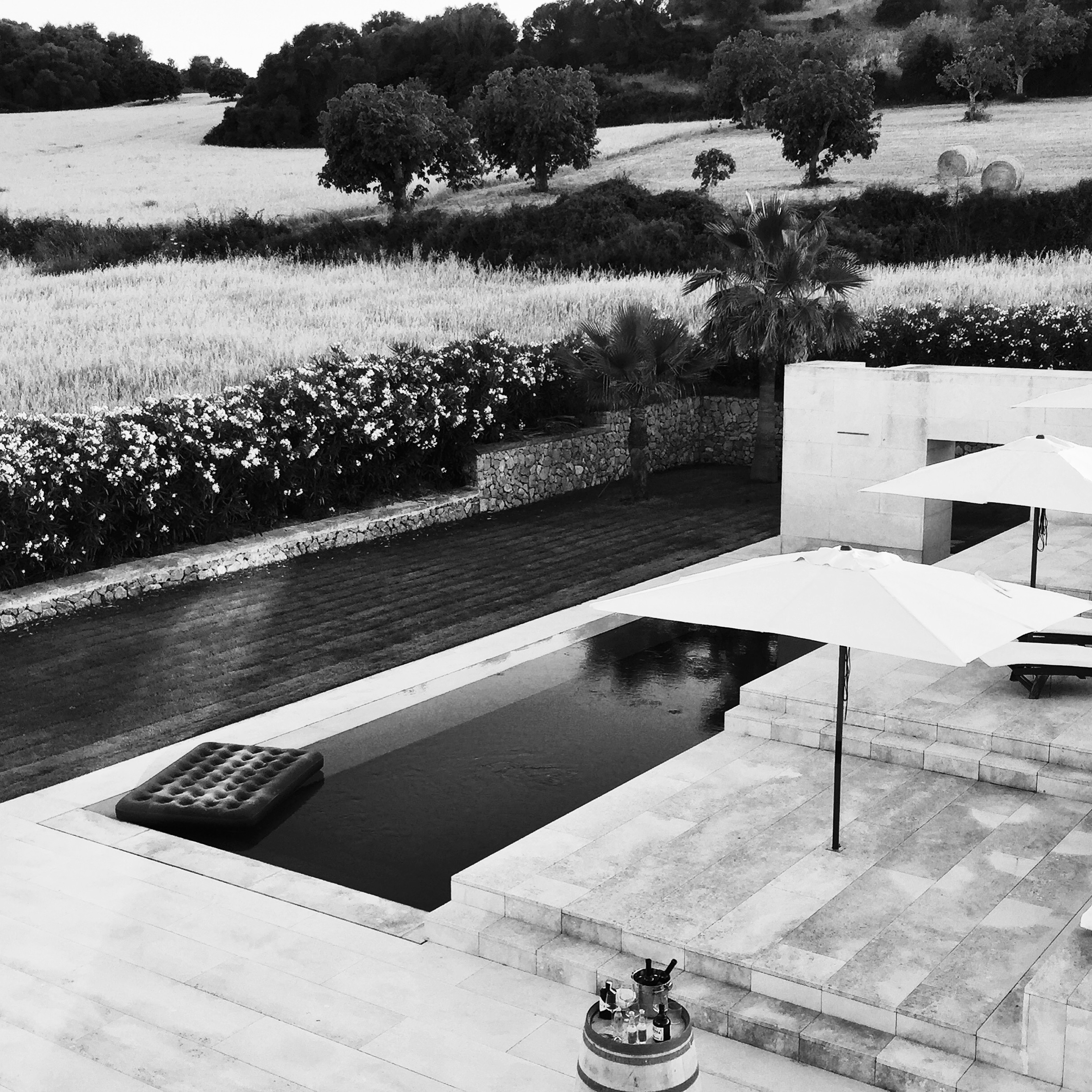 炼金术花园 | 橄榄树、小麦与柑橘的现代景观设计-0