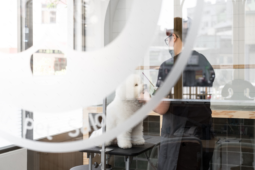 Mu Pet Salon 毛小孩與毛爸媽的療癒沙龍丨中国台中丨Haven Space Design-22