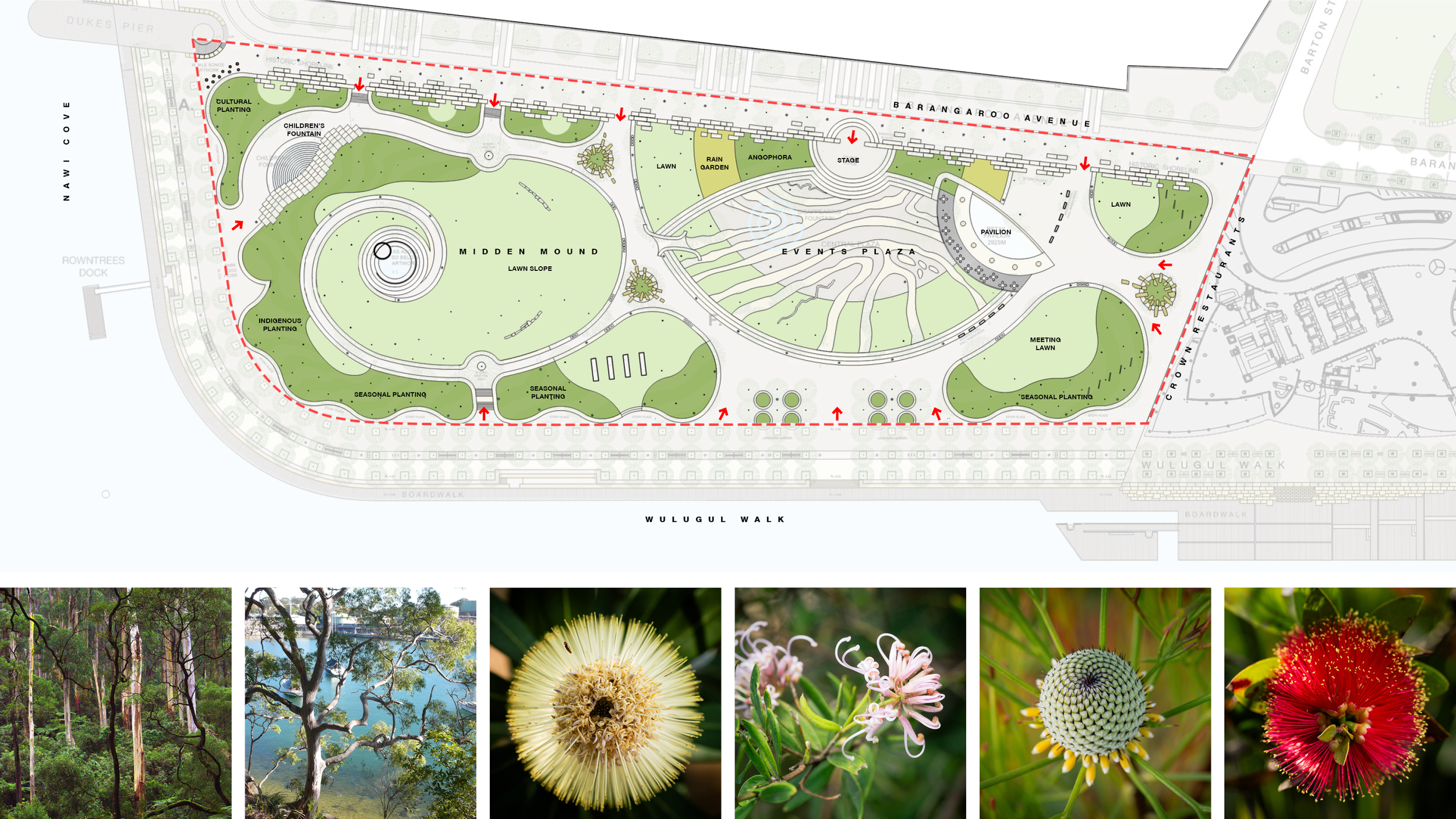 Honoring First Nation and The Gadigal People — PWP-4