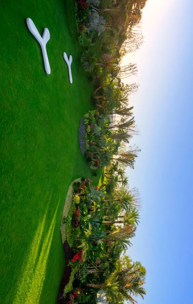 自然的魅力与艺术 | 广州龙湖 · 双珑原著-53