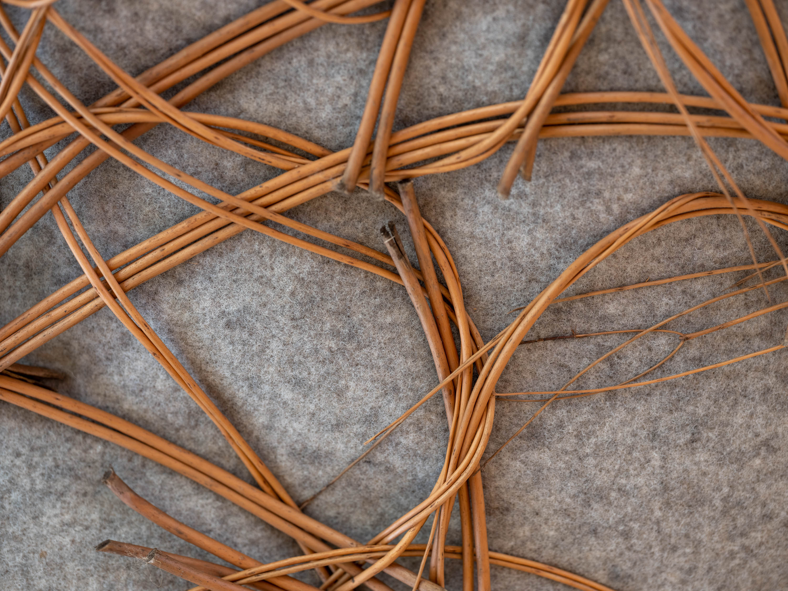 “Purzelbaum”日托中心丨德国丨Erfurt & Partner GmbH 建筑与工程集团-23