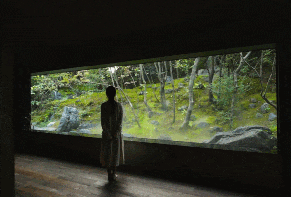 杭州自然美景工作室丨中国杭州丨余伟增,柴荣-92