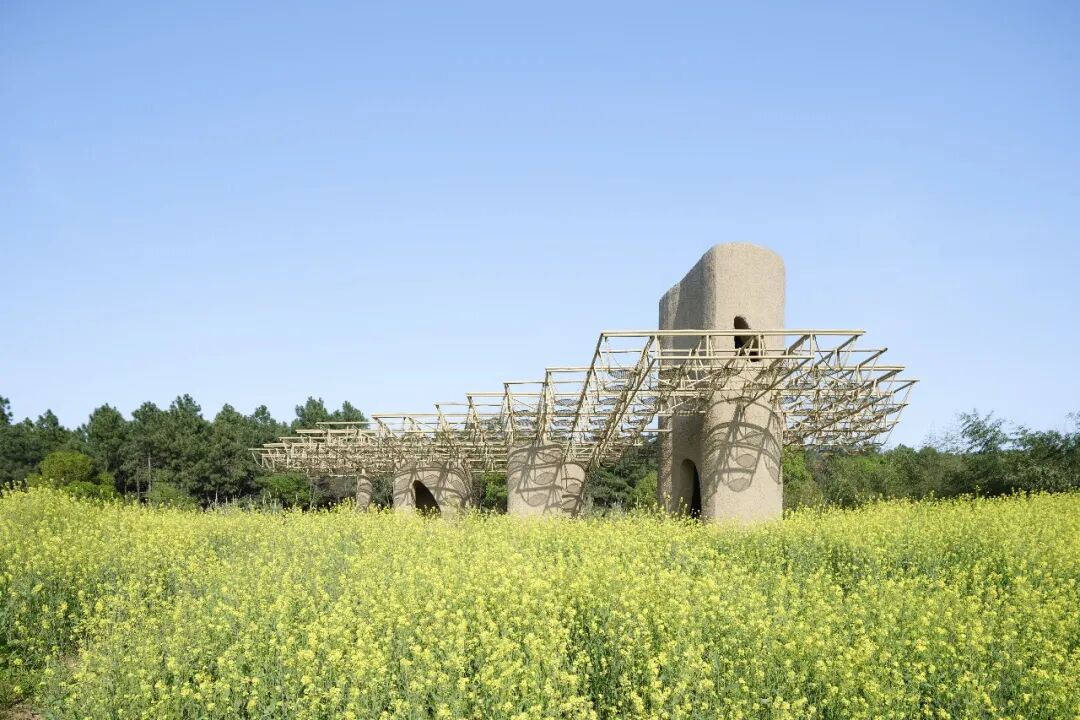 湿地洞窟配套驿站丨中国衢州丨Studio 10-28