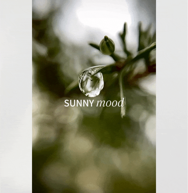 WSD世尊设计丨海南臻海CLUB-16