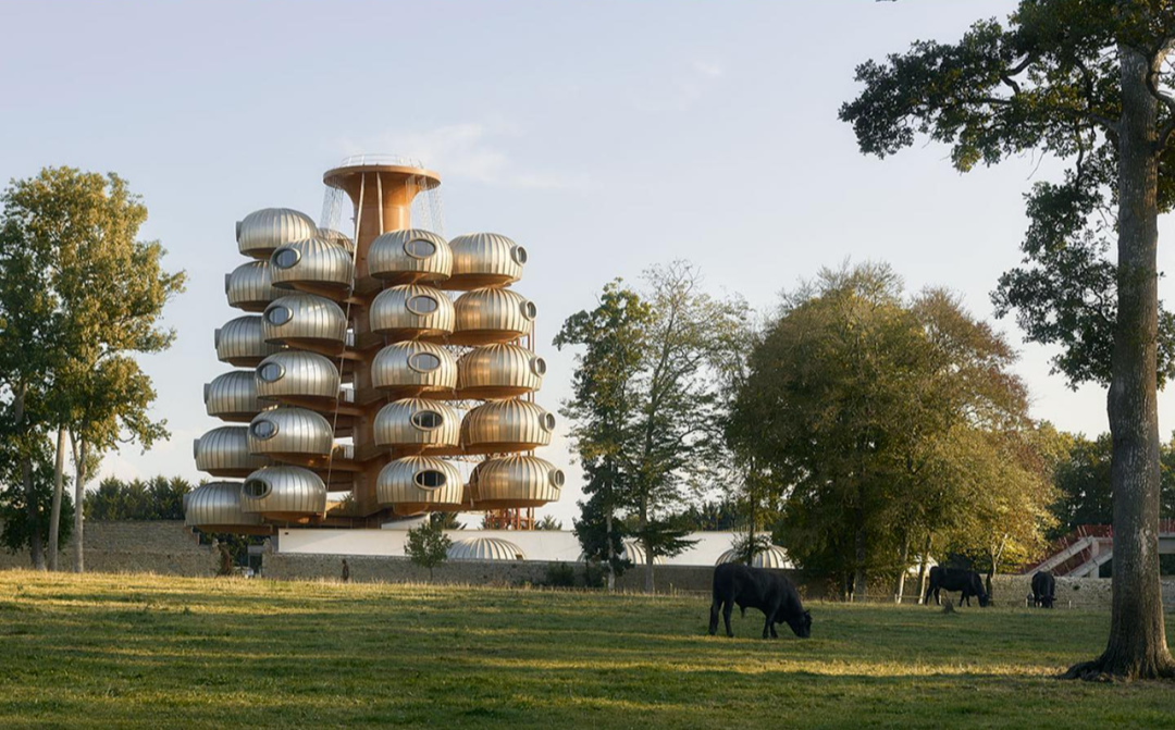 法国树状酒店「Château des Pères Hôtel Essenciel」——亲近自然的创新设计-10