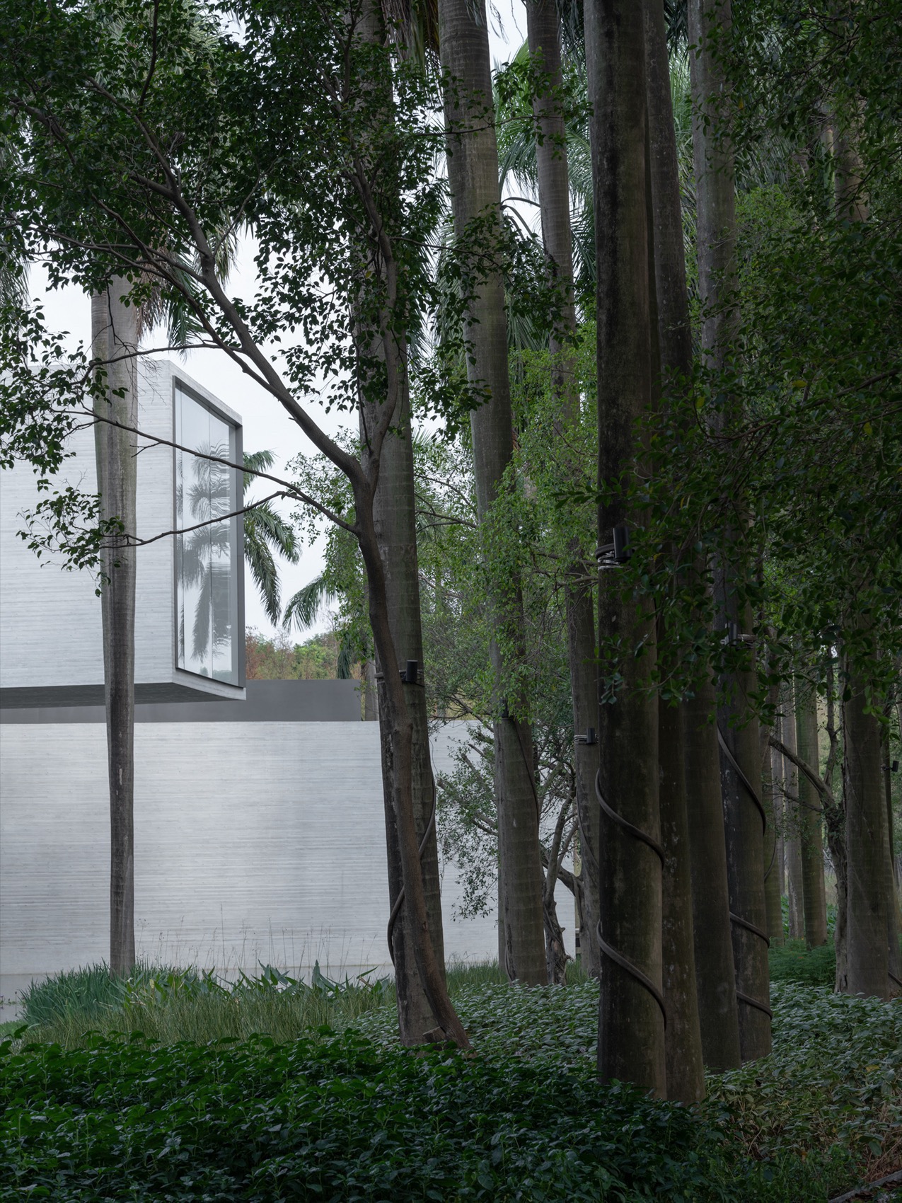 顺德云鹭湿地博物馆丨中国广东丨LinkArc建筑事务所-107