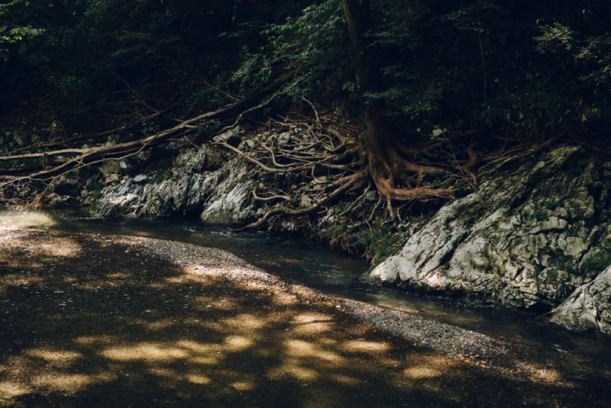 Setouchi Cominca Stay · 传统与现代的日本民宿丨Katsumi yamashita,Shiro miura-41