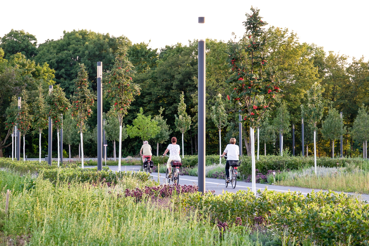 德国波恩大学校园-29