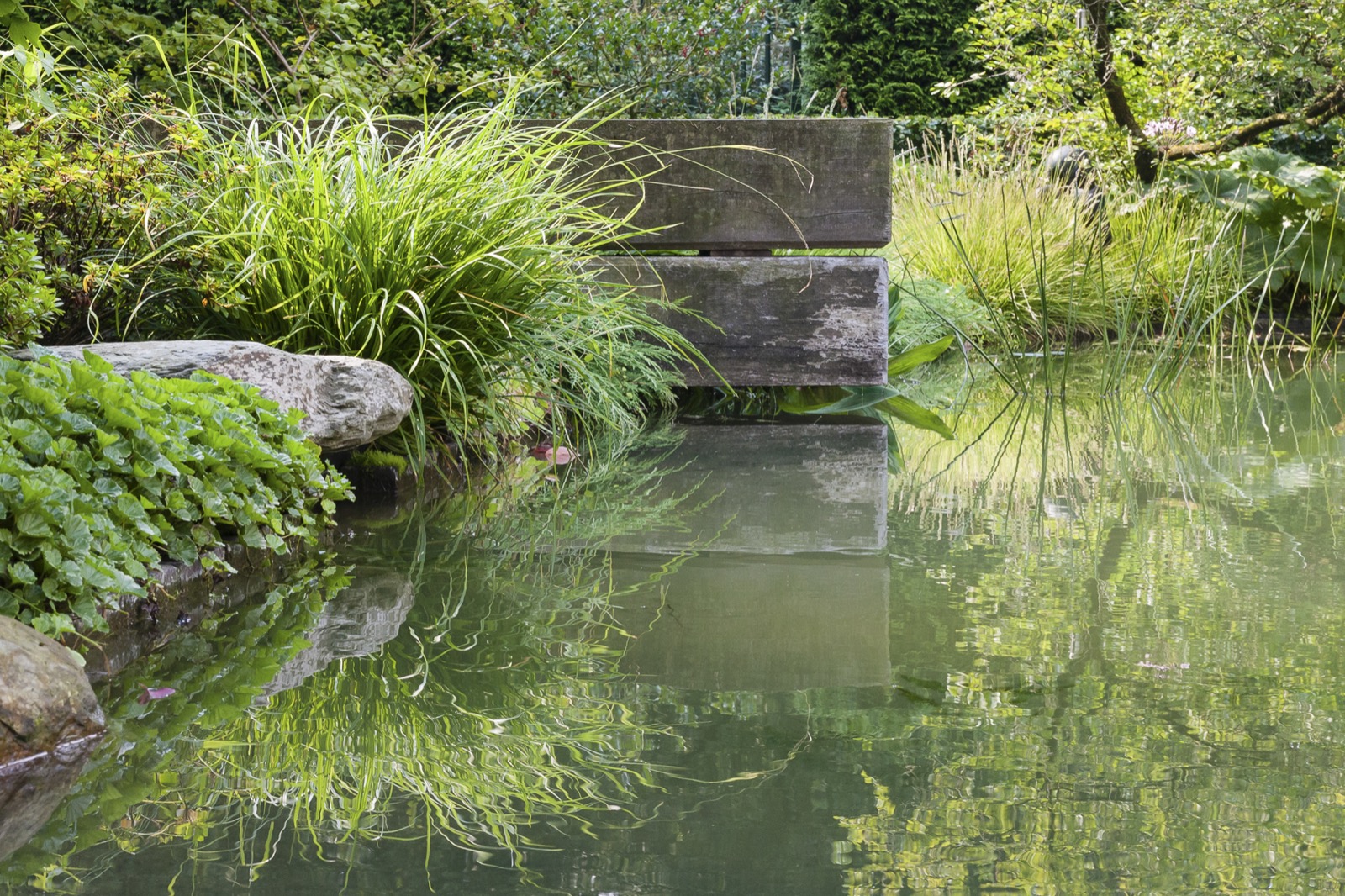 Exclusieve Japanse Watertuin-8