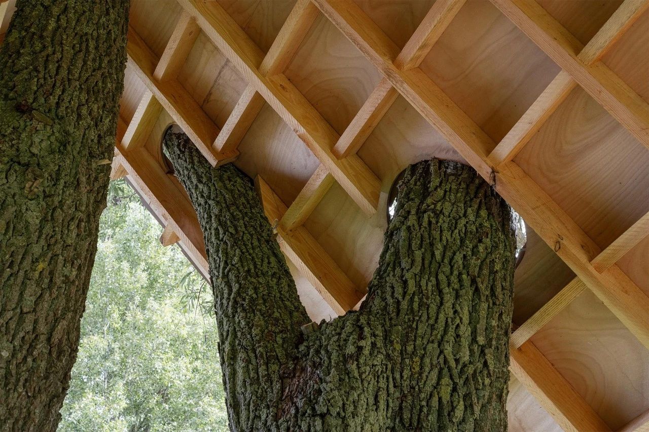 庇护所;避难所;掩蔽处丨荷兰丨比利时事务所 Gijs van vaerenbergh-19