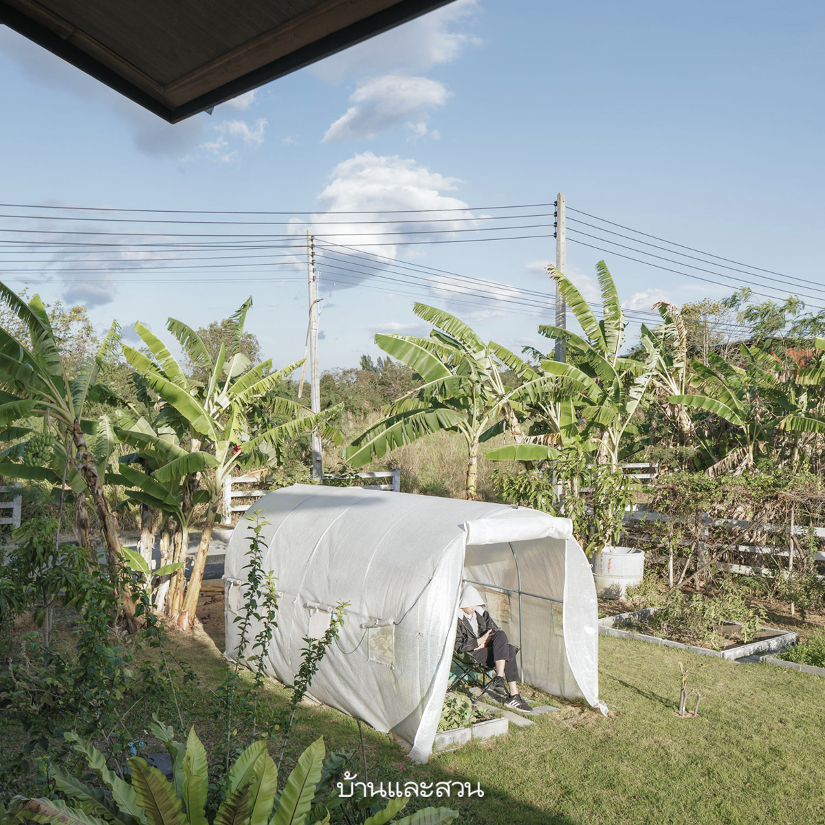 บ้านฟาร์มหลังเกษียณ ที่กลายเป็นโฮมสเตย์ ปลูกผักกินเอง - บ้านและสวน-7