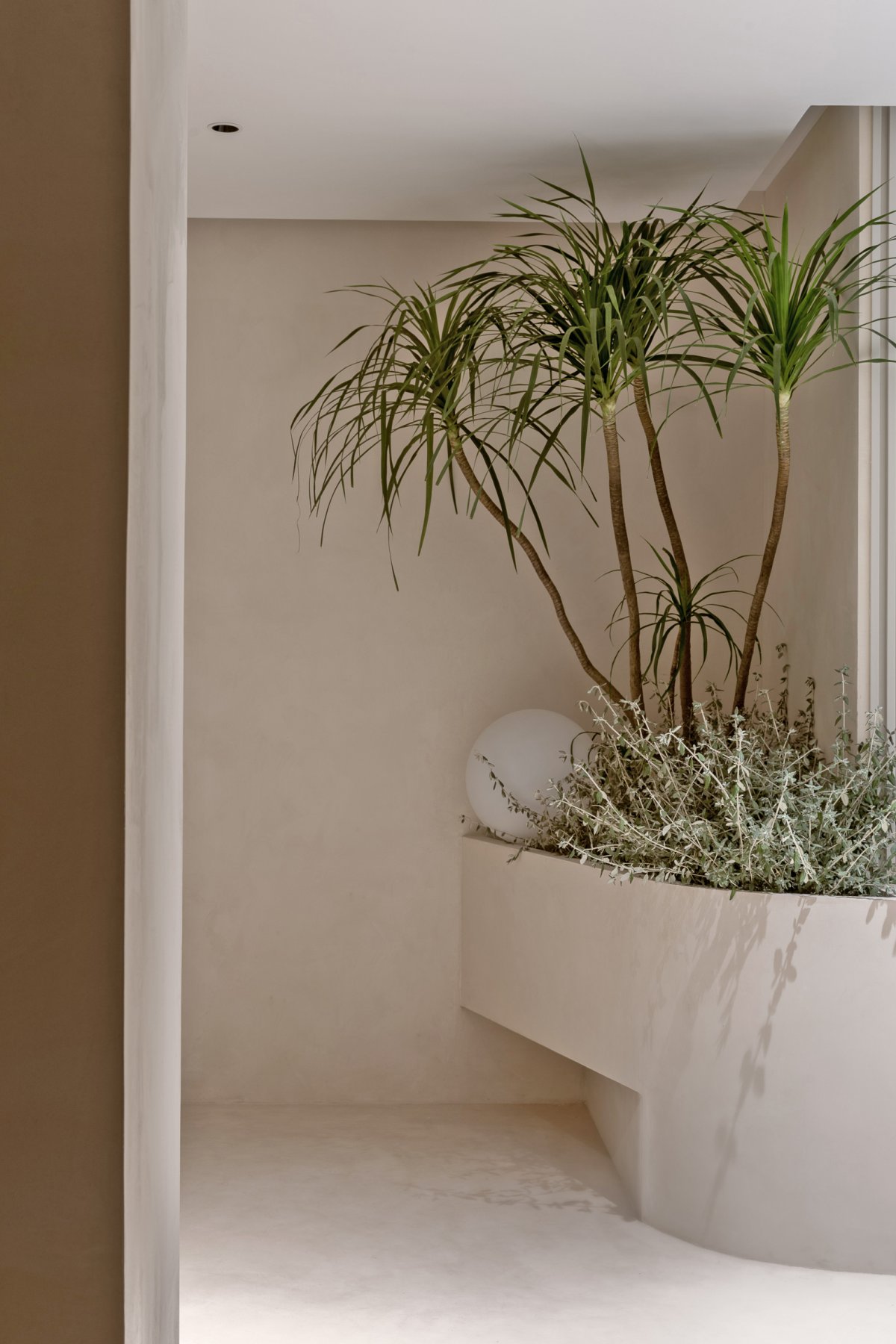 妍喜齿科丨凡物设计-6