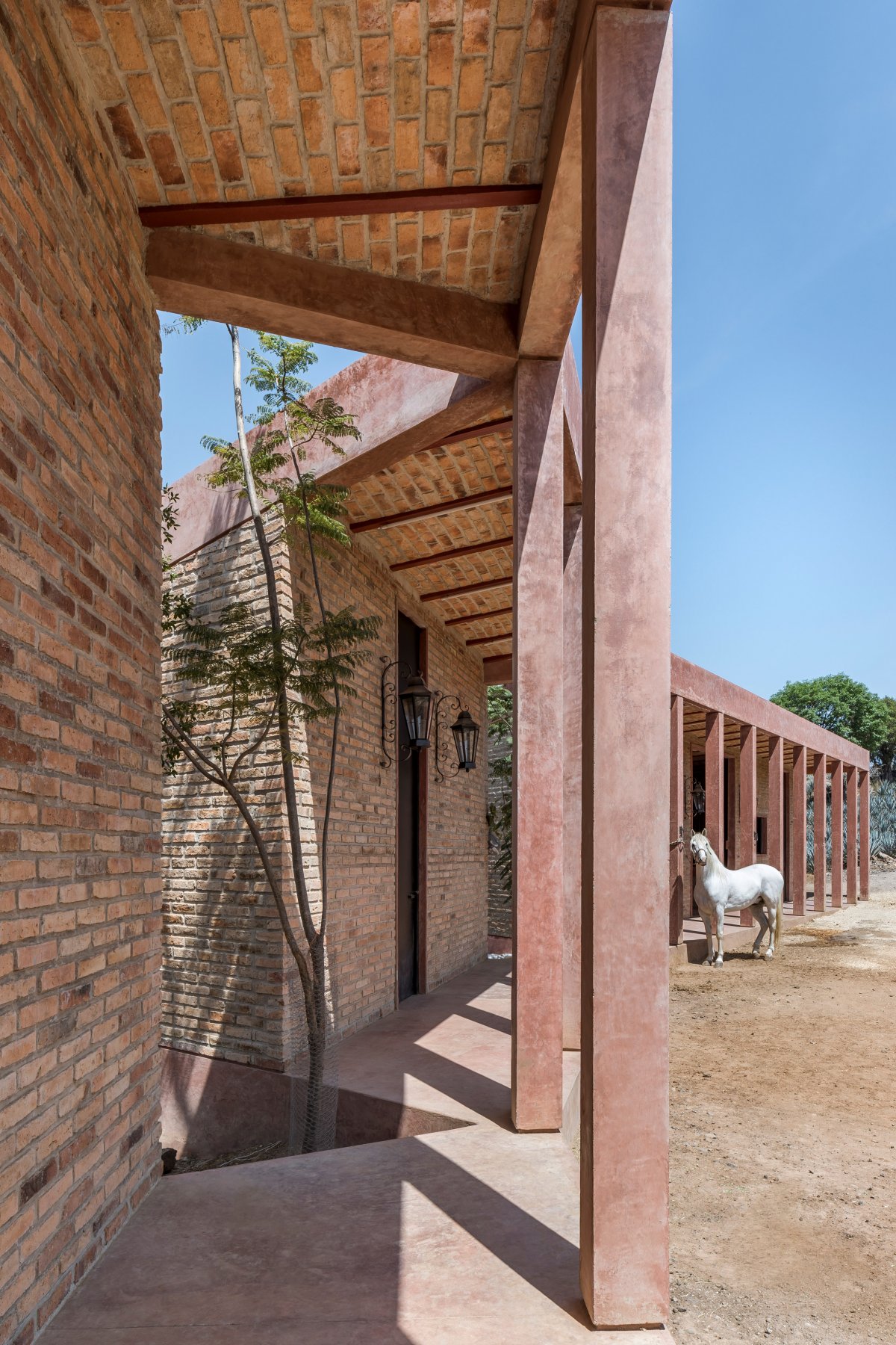 Agavero 牧场丨墨西哥丨1540 Arquitectura-8