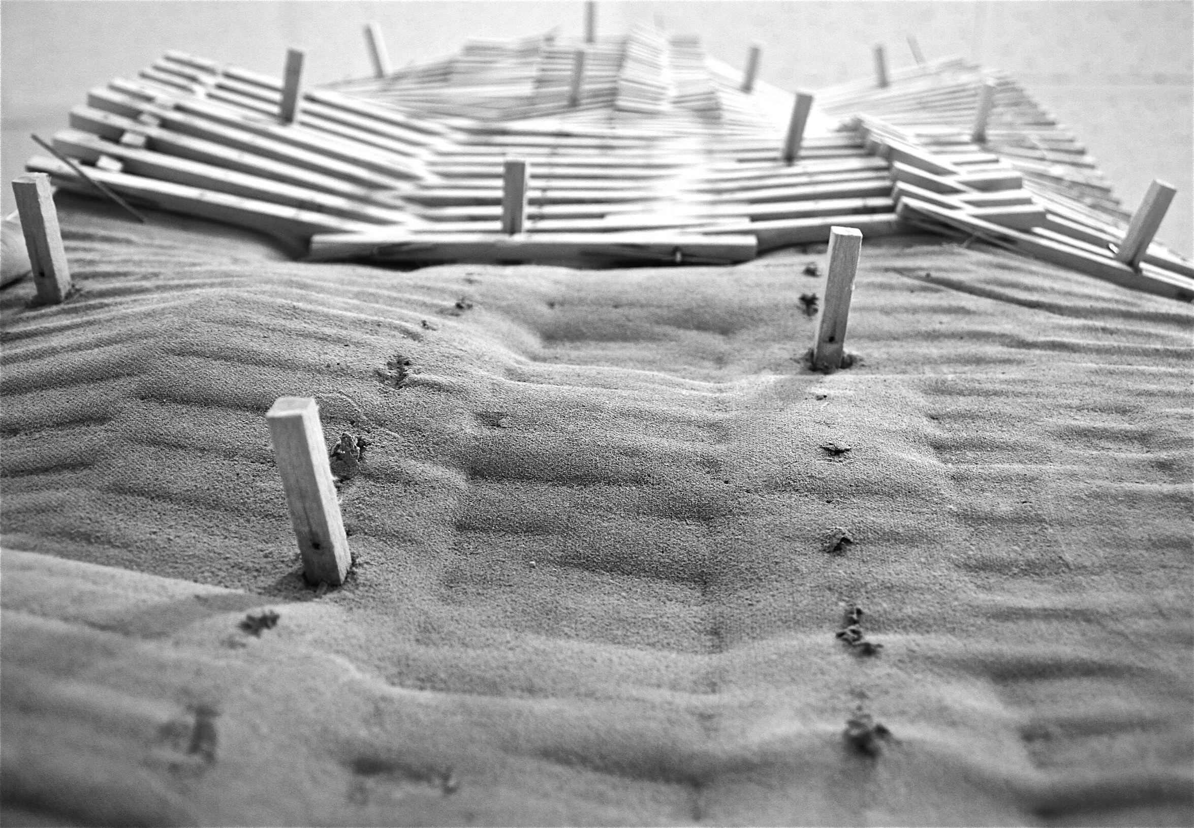 弗勒·形式·建筑事务-5