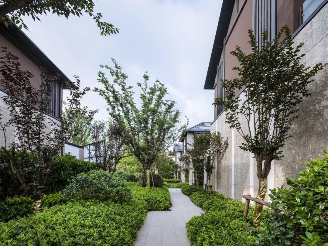 上海哈远洋崇明东滩花园景观丨中国上海丨骏地设计-3